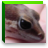 Reptile Navi 2 icon