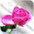 Pink Rose Lockscreen version 1.10