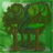 Nature Forest Sounds icon