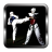 Taekwondo Wallpapers icon