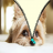 Pet cute unlock zipper APK Download