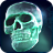 The Shining Skull icon