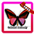 Colorful Butterfly GO Theme icon