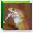 Reptile Navi icon