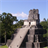 Tikal Wallpaper! icon