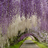Most beautiful gardens wallpapers APK Download