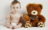 Cute Teady Bears HD For Kids icon