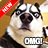 Funny Dog Pictures icon