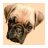 Funny Dogs icon