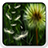 Dandelion Seeds on Screen icon