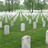 Descargar Arlington Cemetery Wallpaper!