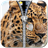 Cheetah Zipper Lock icon