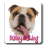 Bailey Bulldog version 1.1