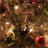 Christmas Trees Wallpaper! icon