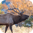 Elk Sounds APK Download