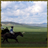 Horse Racing Wallpaper App icon