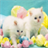 All About Cats icon