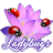 Ladybugs Picture Photo Frames icon
