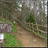 Appalachian Trail Wallpaper App icon