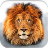 How to Draw a Lion Art icon