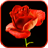 Blooming Rose 3D Video Theme icon