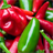 Jalapeno Peppers Wallpaper! icon