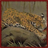 Jaguars Wallpaper App icon