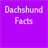 Dacshunds icon