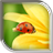 Ladybug Live Wallpaper icon