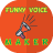Funny Voice Maker icon