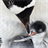 Baby Penguins Wallpaper! icon