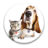 DogsAndCats icon
