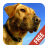 Dog Sounds and Pictures icon
