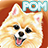 Pomeranians Wallpaper icon