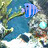 ACE: Under the sea icon