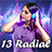 13 Radial icon