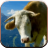 Cow Sounds for Kids icon