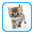 Cat Sounds and Pictures icon