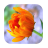 1045 Flowers Live Wallpapers icon