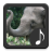Elephant Sounds APK Download