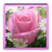 Best HD Flower Wallpapers icon