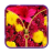 Flower Zipper Unlock icon