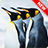 Penguin Wallpaper icon