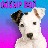 GossipDog icon