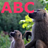 Animal ABC icon