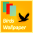 Birds Wallpaper 1.0