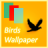 Birds Wallpaper icon