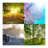 Four Seasons Screen Lock icon