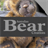 Australian Bear Creations icon