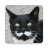 Cats With Mustaches icon